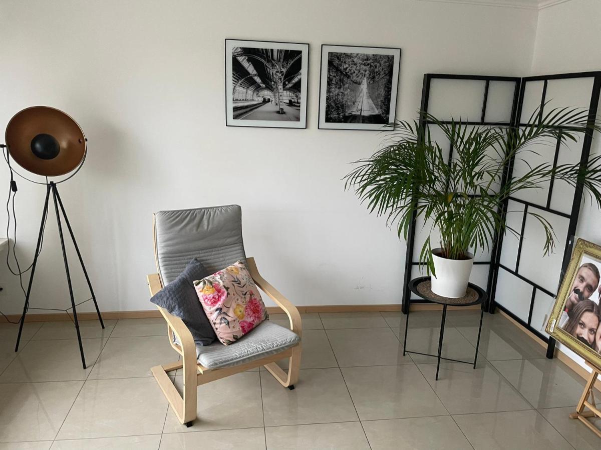 Superb Appartement With 3 Bed Rooms In Antwerpen Exteriér fotografie